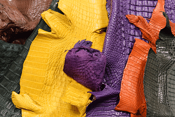 da-ca-sau-volcano-leather-(56) Da cá sấu Volcano Leather