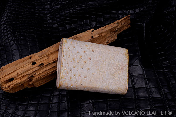 vi-nu-da-da-dieu-VNUCS065a